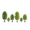 HO Deciduous Trees (59cm High X 25pcs) -Toy Model Shop NOC26801