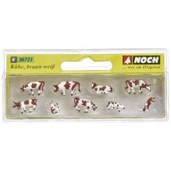 N Brown & White Cows (9)